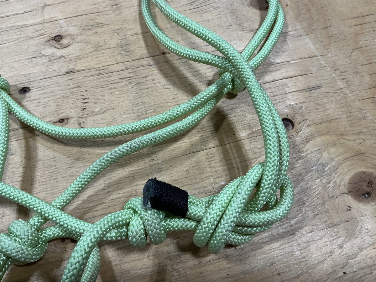Halter – Rope, Green, Decorative Nose | Used
