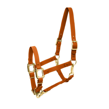 Collection image for: Icavalos Collection Halters
