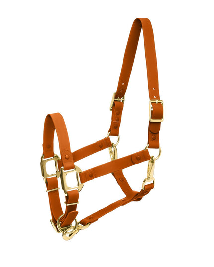 Halter Brown Cob iCavalos Collection