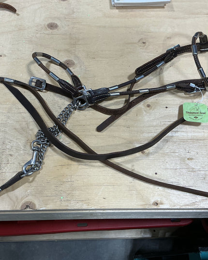 Show halter & lead with chain