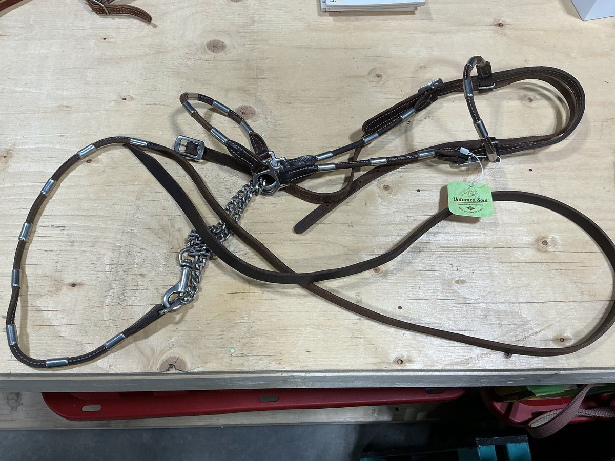 Show Halter – with Lead & Chain | Used
