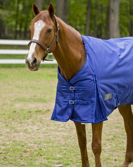 Winter Blanket Detachable Neck Blanket: Purple, 75