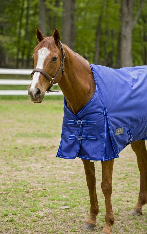 Winter Blanket Detachable Neck Blanket: Purple, 75