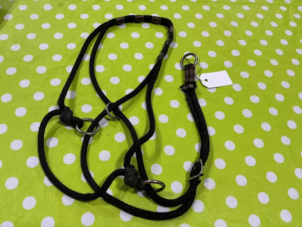 Halter – Side Pull, Black Nylon | Used