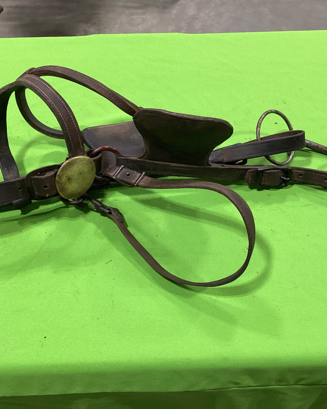 Draft Leather Bridles Older