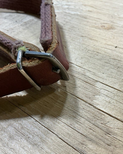 Rein Nylon