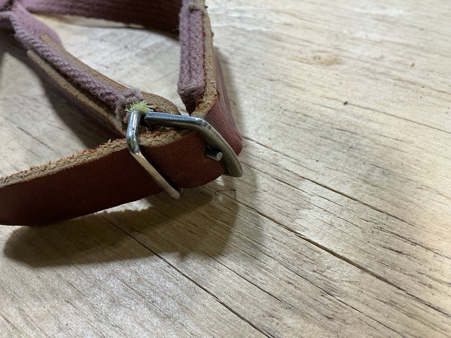 Rein Nylon