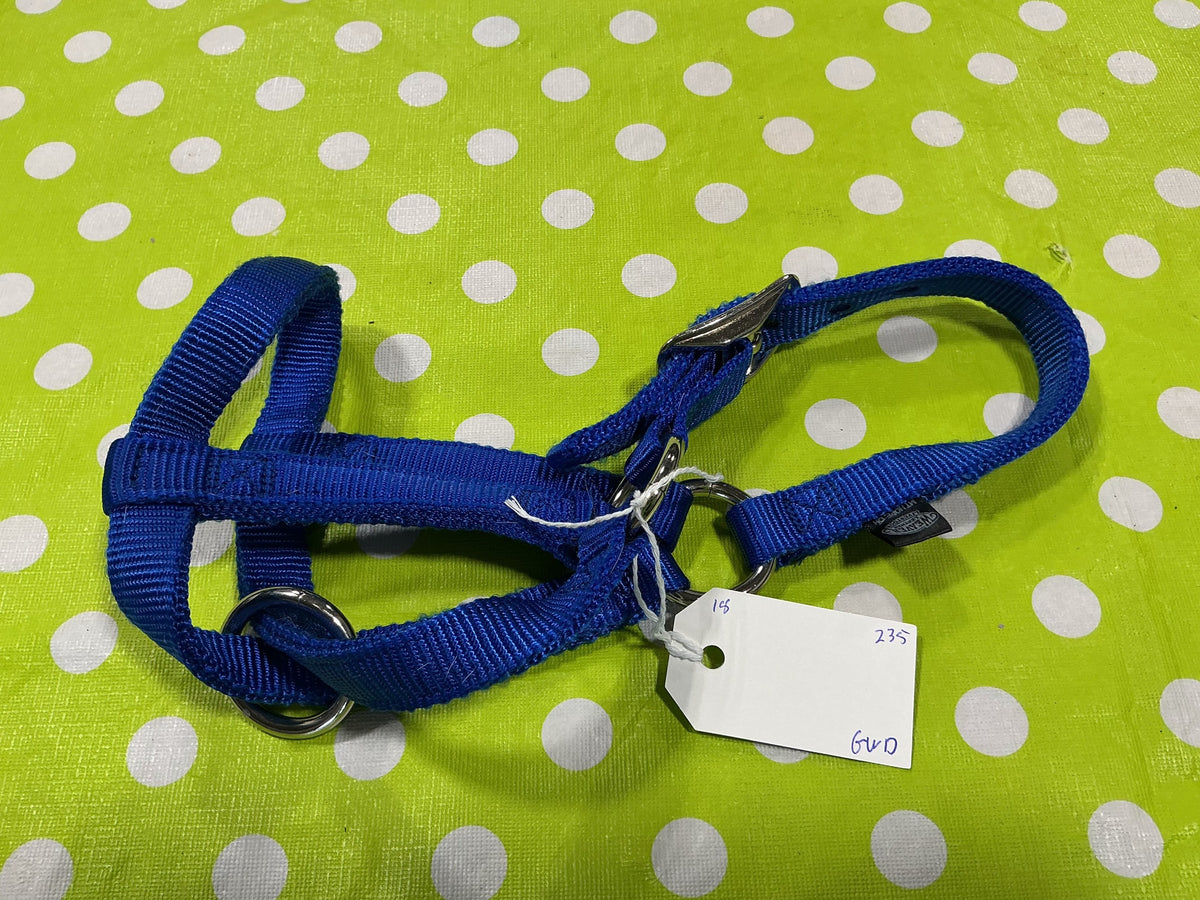 Halter – Weaver Nylon, Blue, Mini | Used