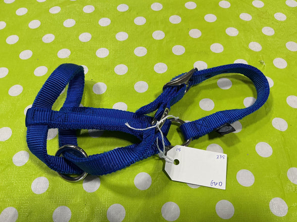 Halter – Weaver Nylon, Blue, Mini | Used