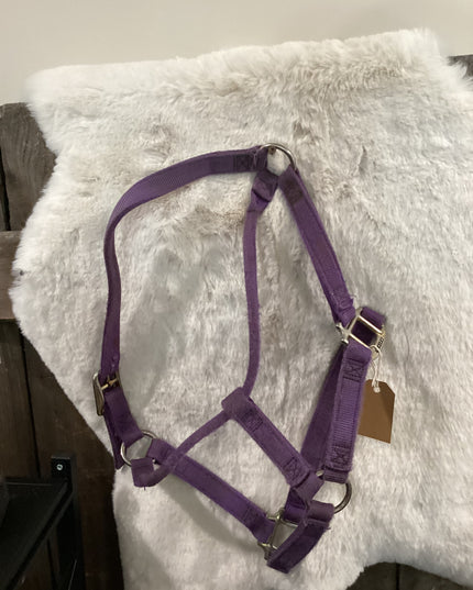 Halter Nylon Purple with Cheek Snap