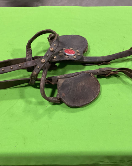 Draft Leather Bridles Older