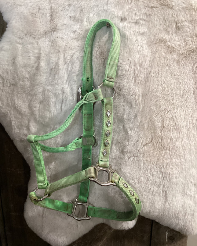 Halter Nylon Average LIme Green