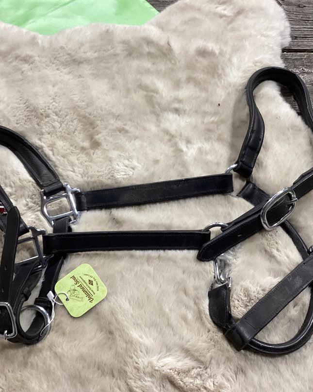 Halter Leather  Bling Nose Broken