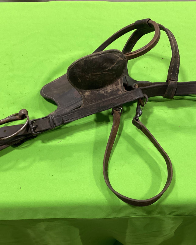 Draft Leather Bridles Older