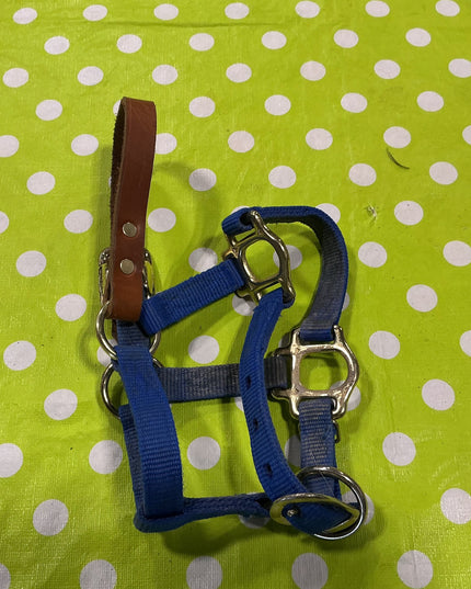 Halter with Leather Strap Blue Pony