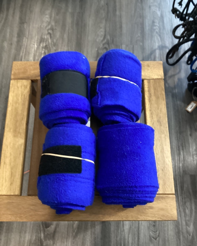 Blue Polo (4)