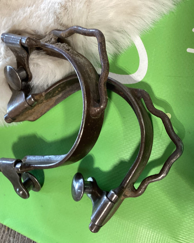 Western Spurs Only Bumper