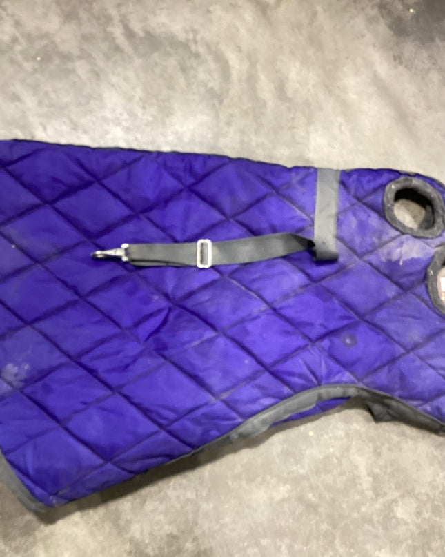 Neck Only Winter Over eyes and ears Blue