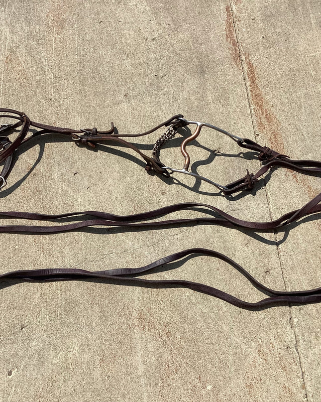 Western Headstall  Bit Reins