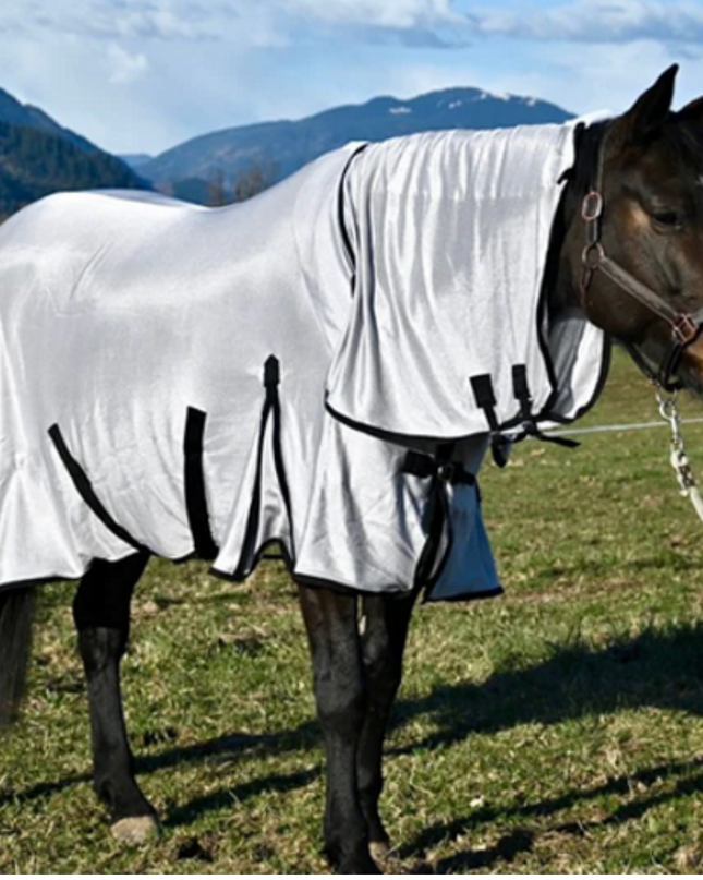 Fly Sheet Size 64"  Champion Horse Blanket