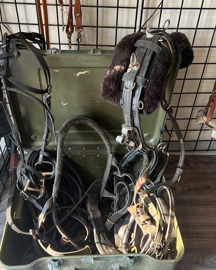 Harness