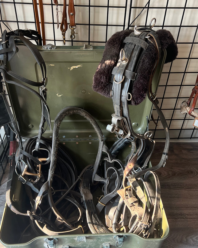 Harness