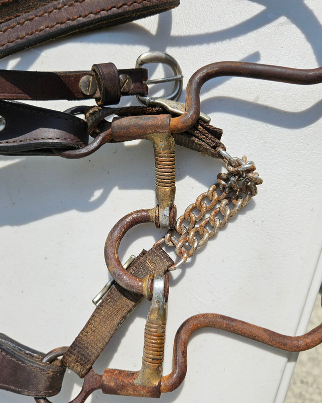 English Bridle Dark Oil Reins and 5" Bit