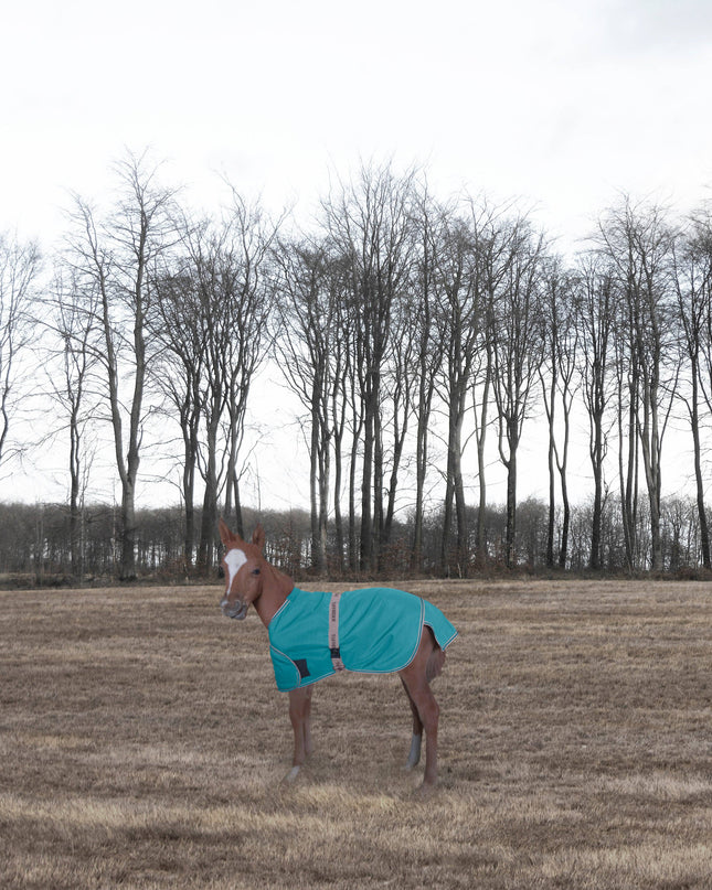 Foal Adjustable Turnout Blanket: Navy, Standard