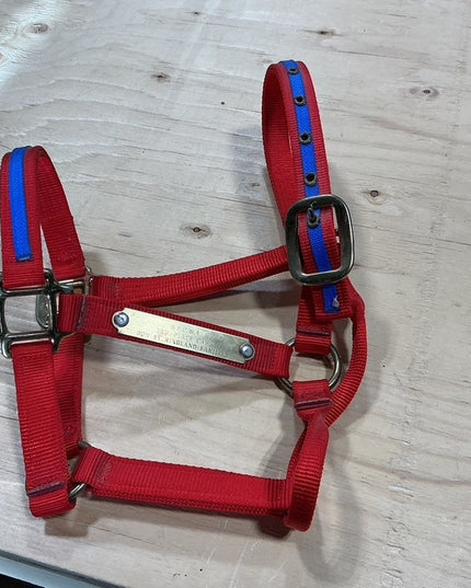 Halter Red & Blue