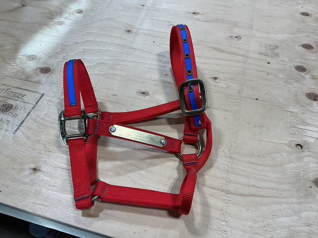 Halter Red & Blue