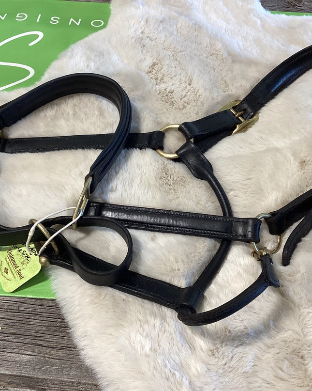 Halter leather Warmblood/Lg