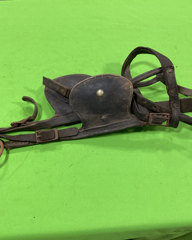 Draft Leather Bridles Older
