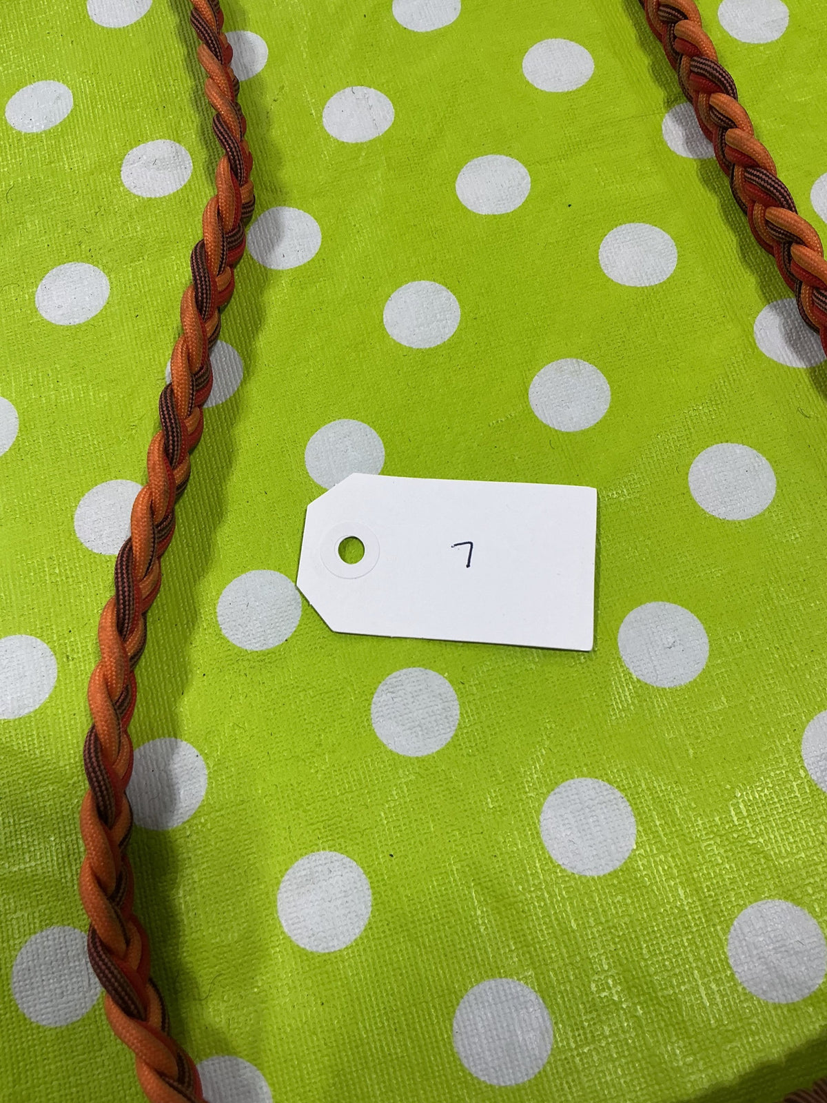 Neck Rein – Bridleless | Used