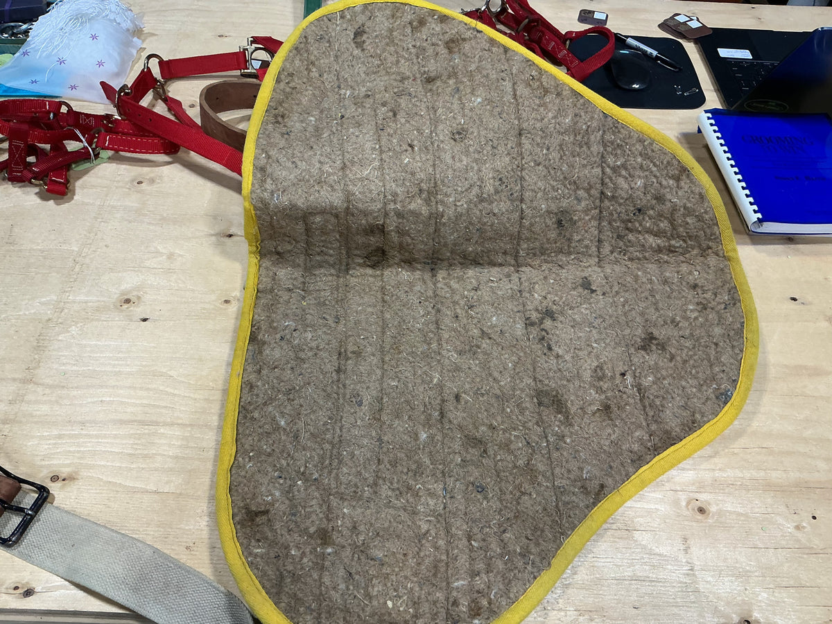 Bareback Pad – Green, No Stirrups | Used