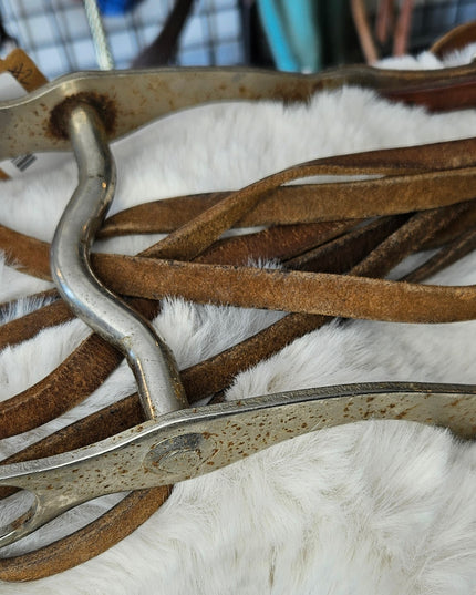 Bit and Reins #2