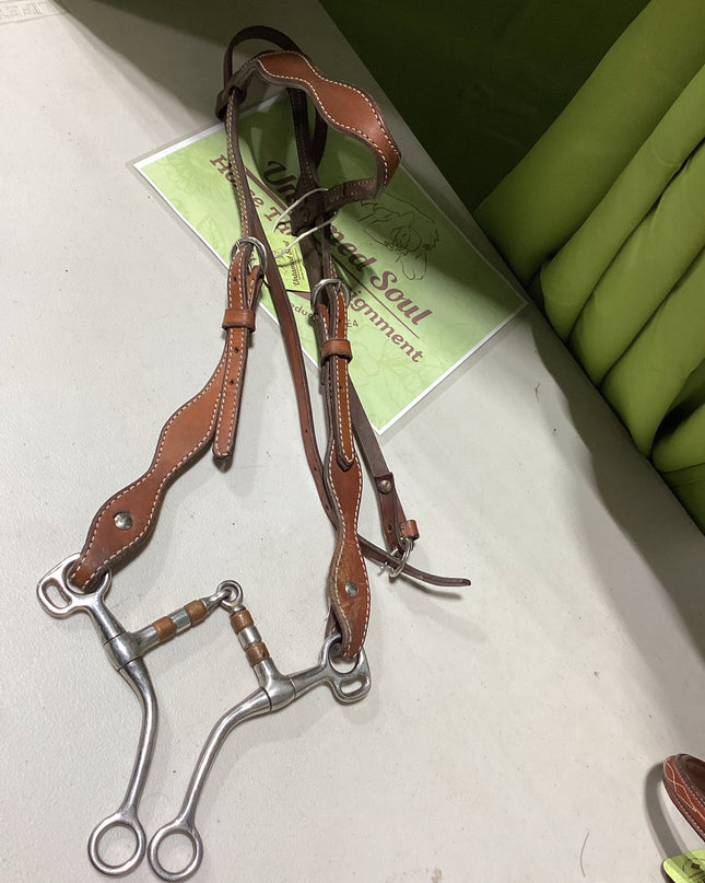Western Bridle with Bit
