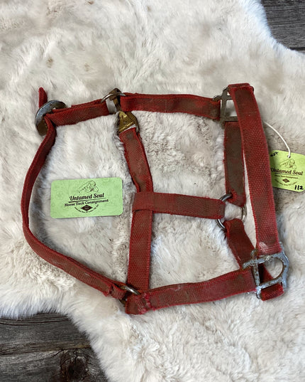 Halter Nylon Red