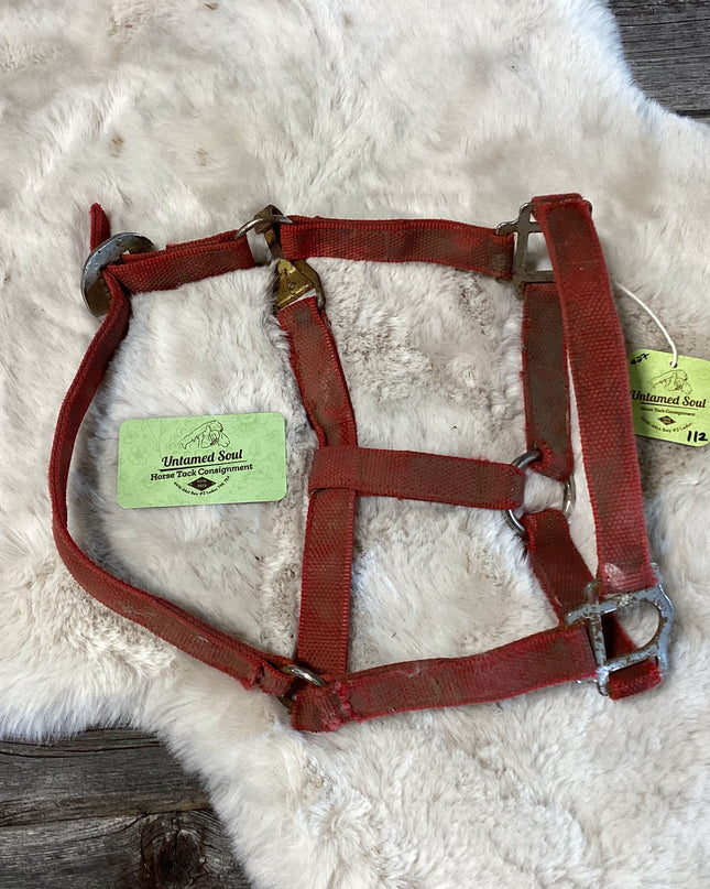 Halter Nylon Red