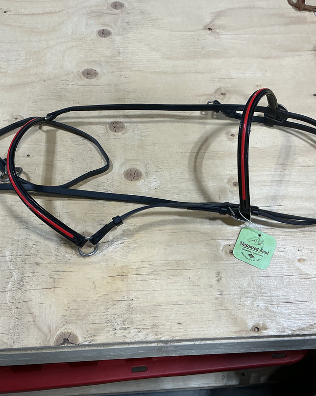 Halter show red brow band