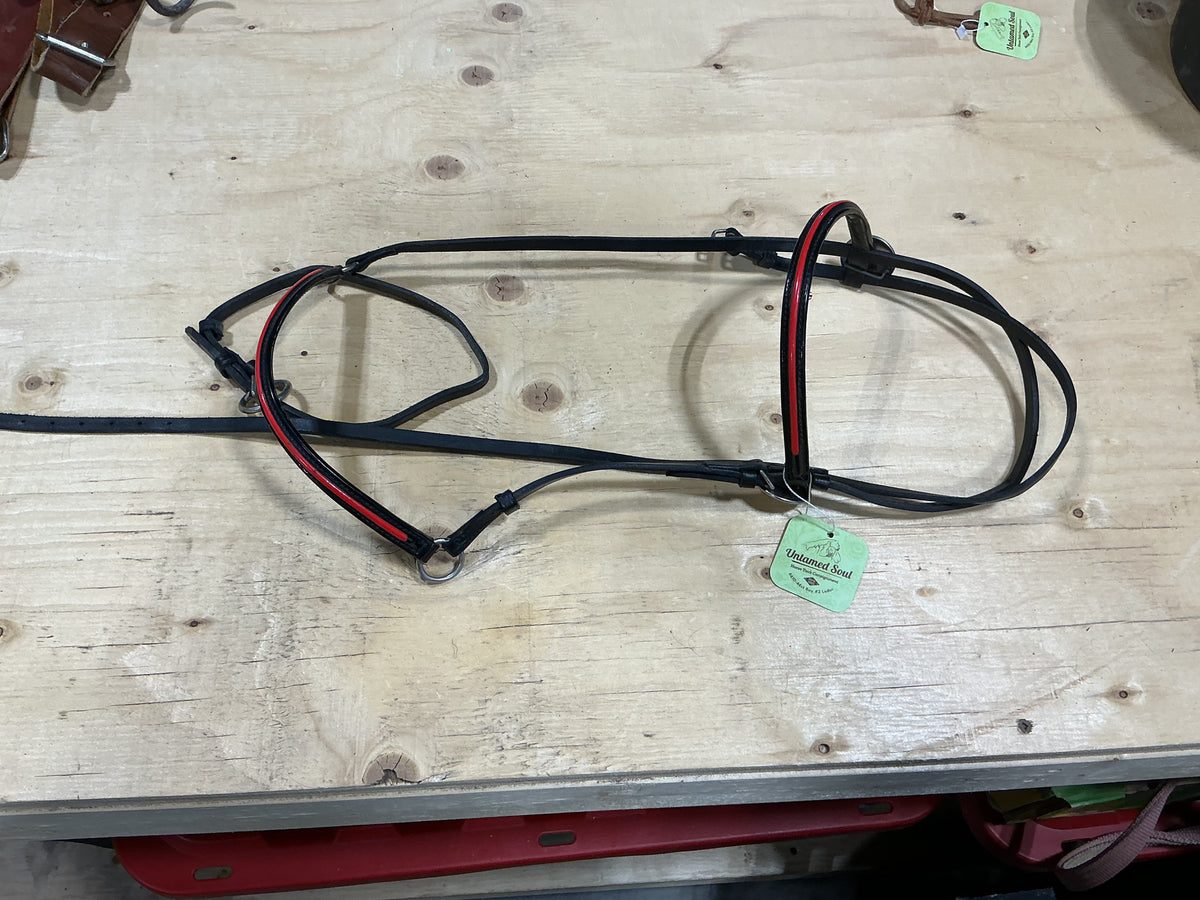 Show Halter – Red Browband | Used