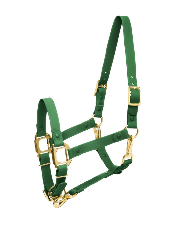 Halter Large Pony Green-  iCavalos Collection
