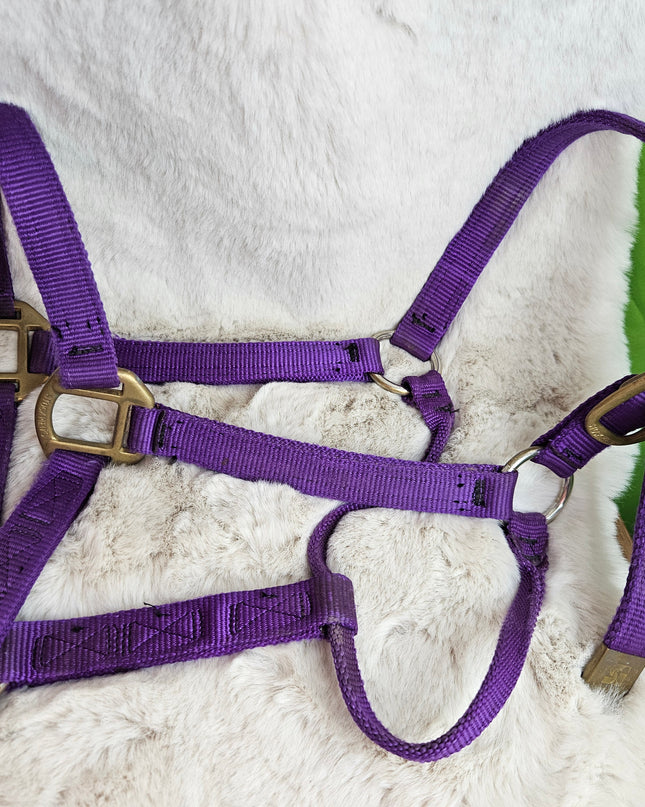 Halter Nylon Full Horse Purple
