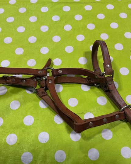 Halter Leather Yearling
