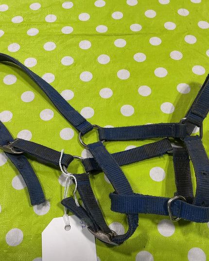 Halter Nylon Blue Pony Size