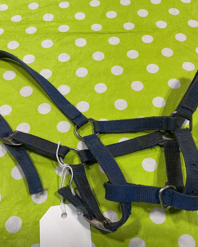 Halter Nylon Blue Pony Size