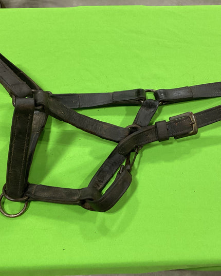 Halter Leather  Draft Size