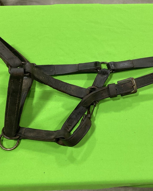 Halter Leather  Draft Size