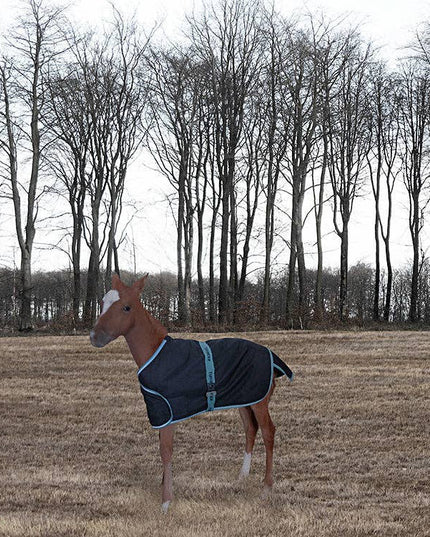 Foal Adjustable Turnout Blanket: Navy, Standard