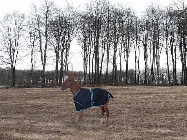 Foal Adjustable Turnout Blanket: Navy, Standard