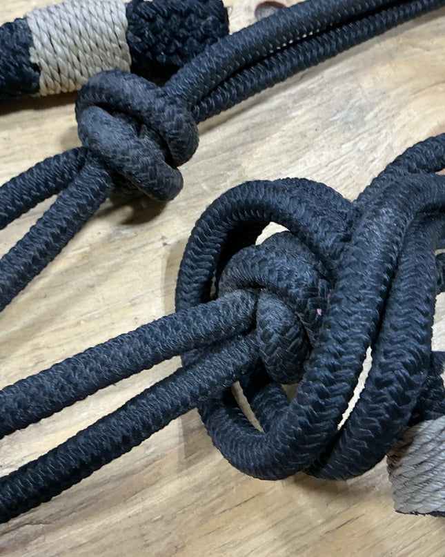 Halter rope with lead Black rawhide noseband
